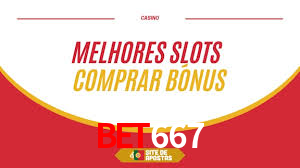 Programa VIP Bet667